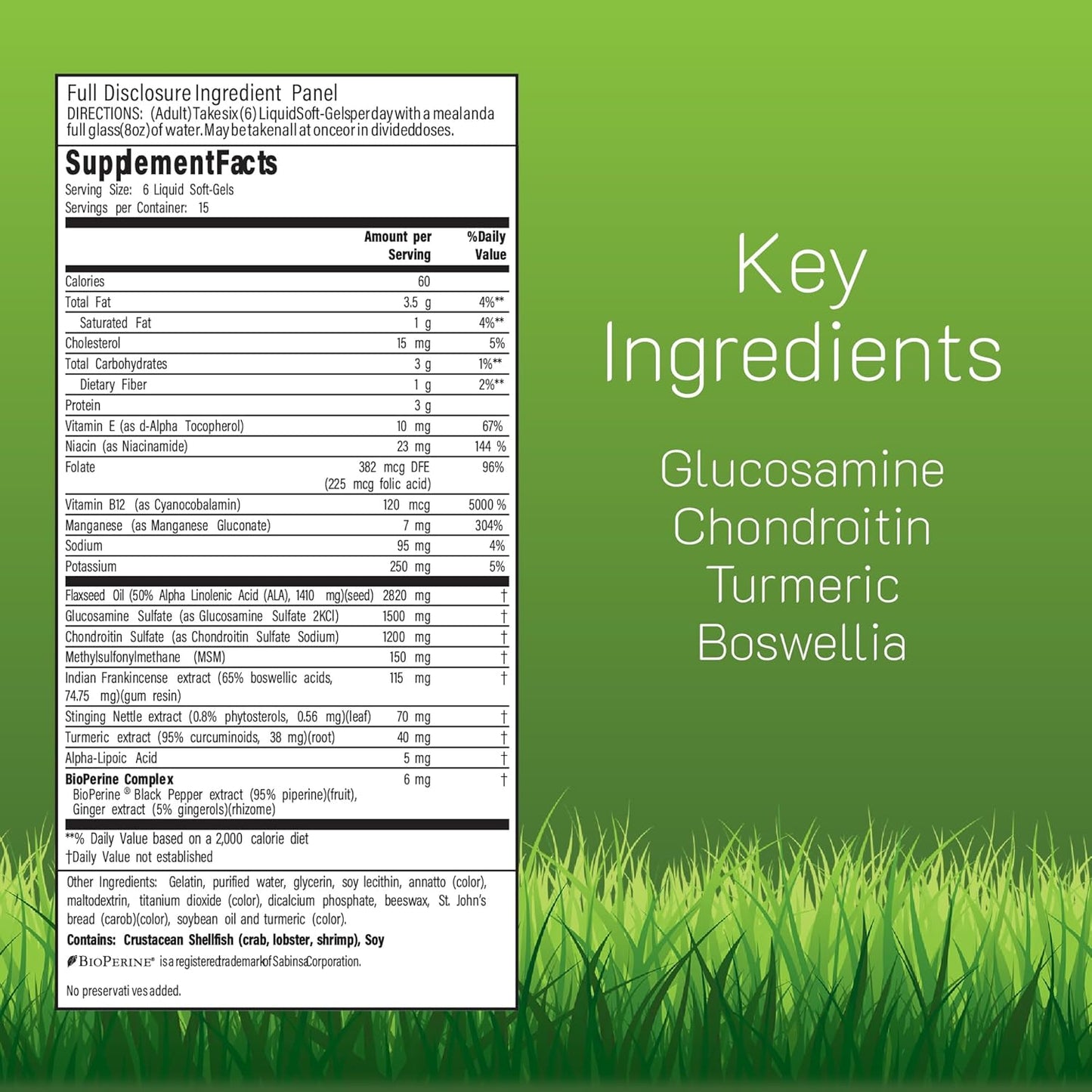 Supplement label with key ingredients on a green background