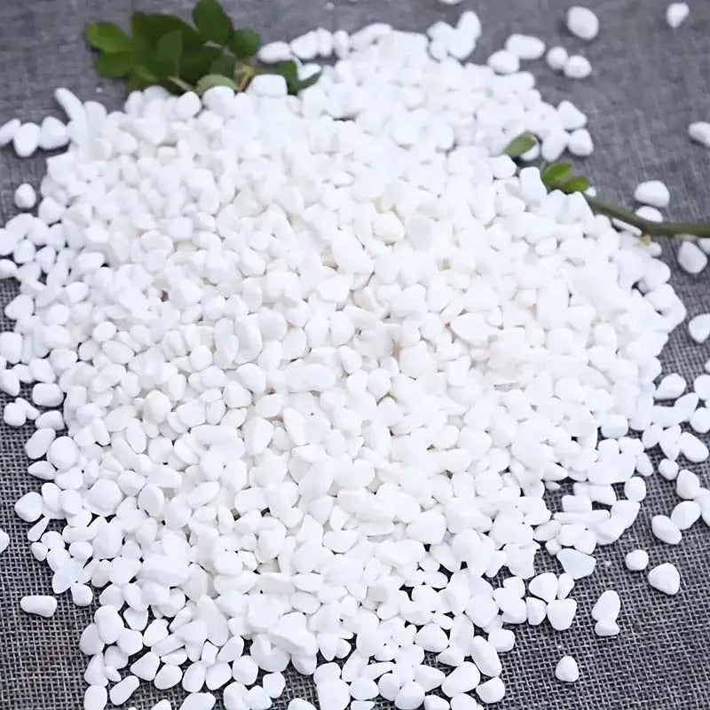 Natural White River Pebbles 200g – Decorative Garden Stones