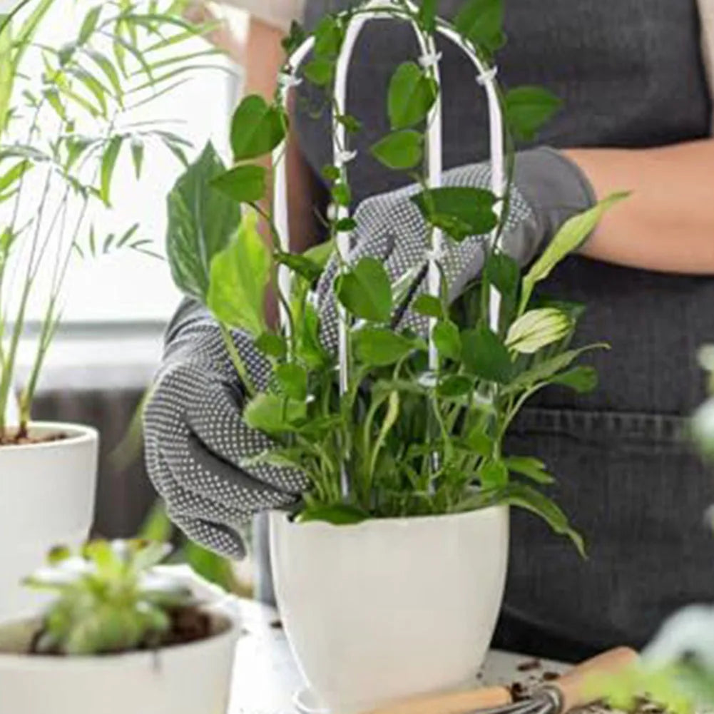 2pcs U-Shaped Acrylic Plant Climbing Frame & Support Stakes
