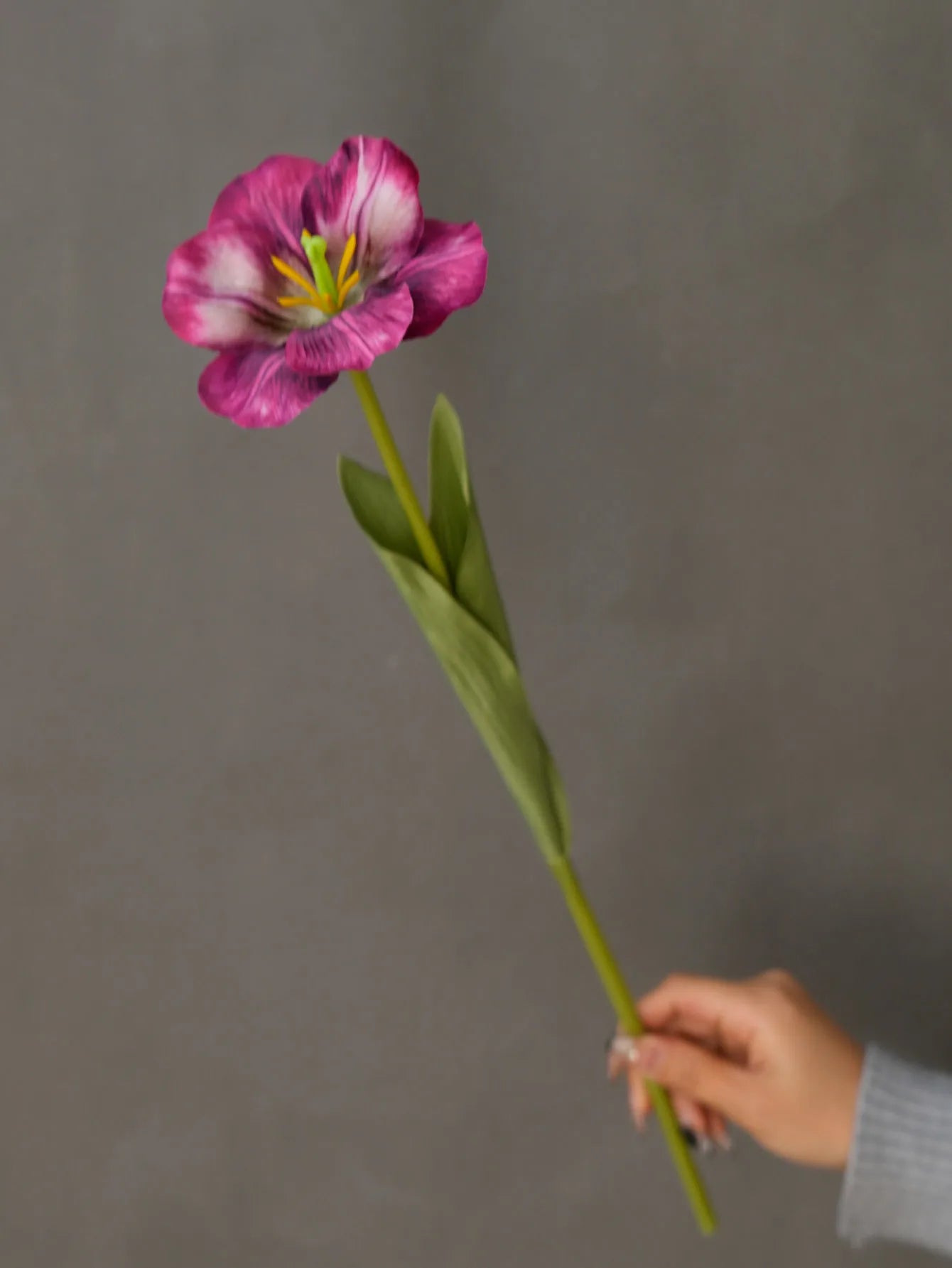 Silk Tulip Long Branch Artificial Flower | Home Decor
