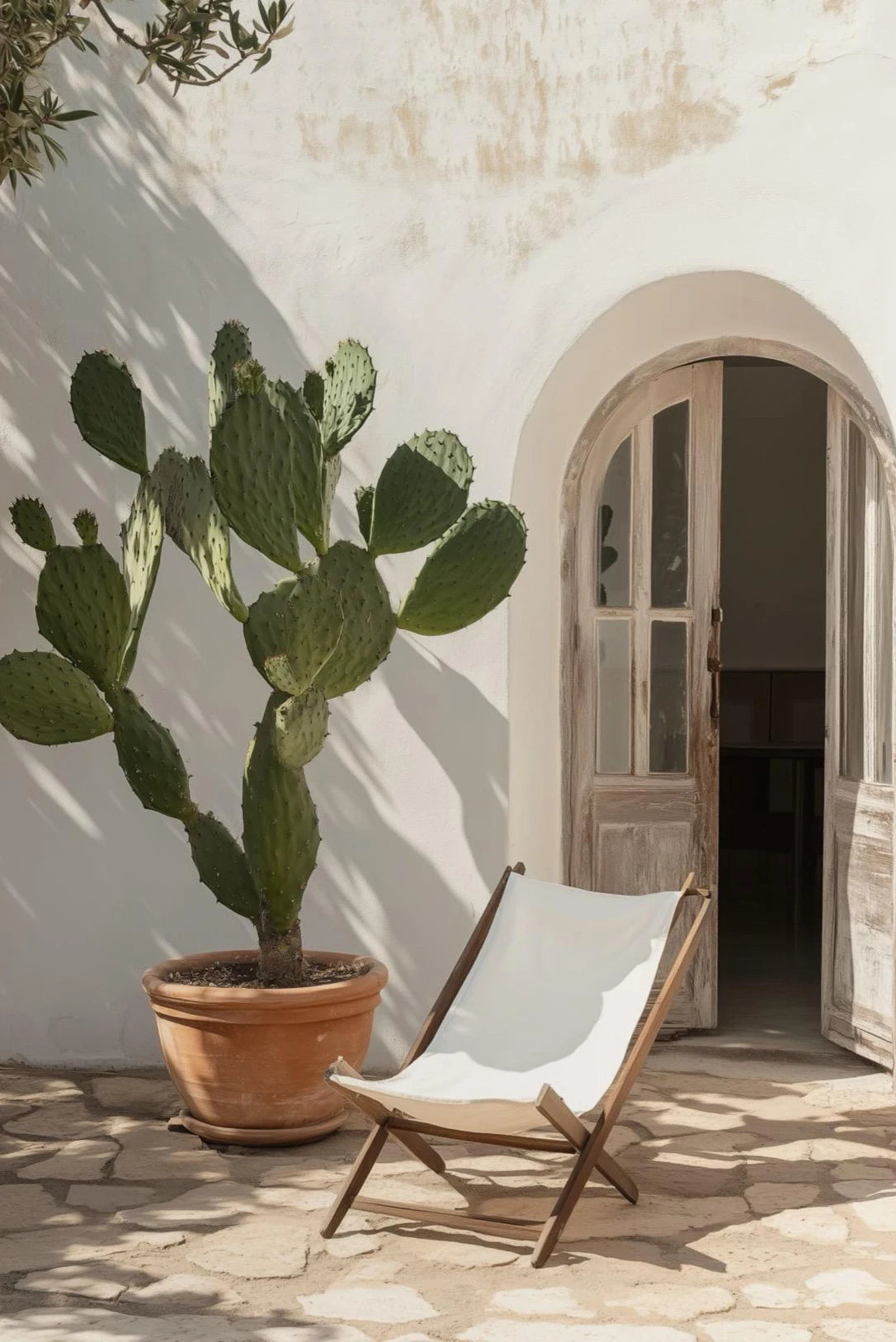 Boho Olive Tree Terracotta Vase Canvas Wall Art | Mediterranean Print