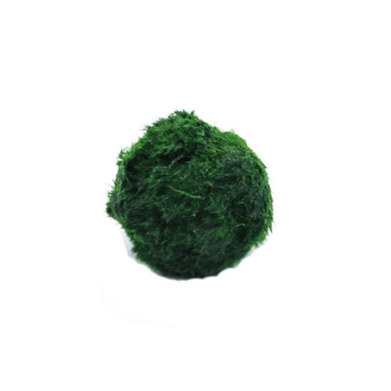 Artificial Marimo Moss Ball 3-4cm | Fish Tank Aquarium Decor