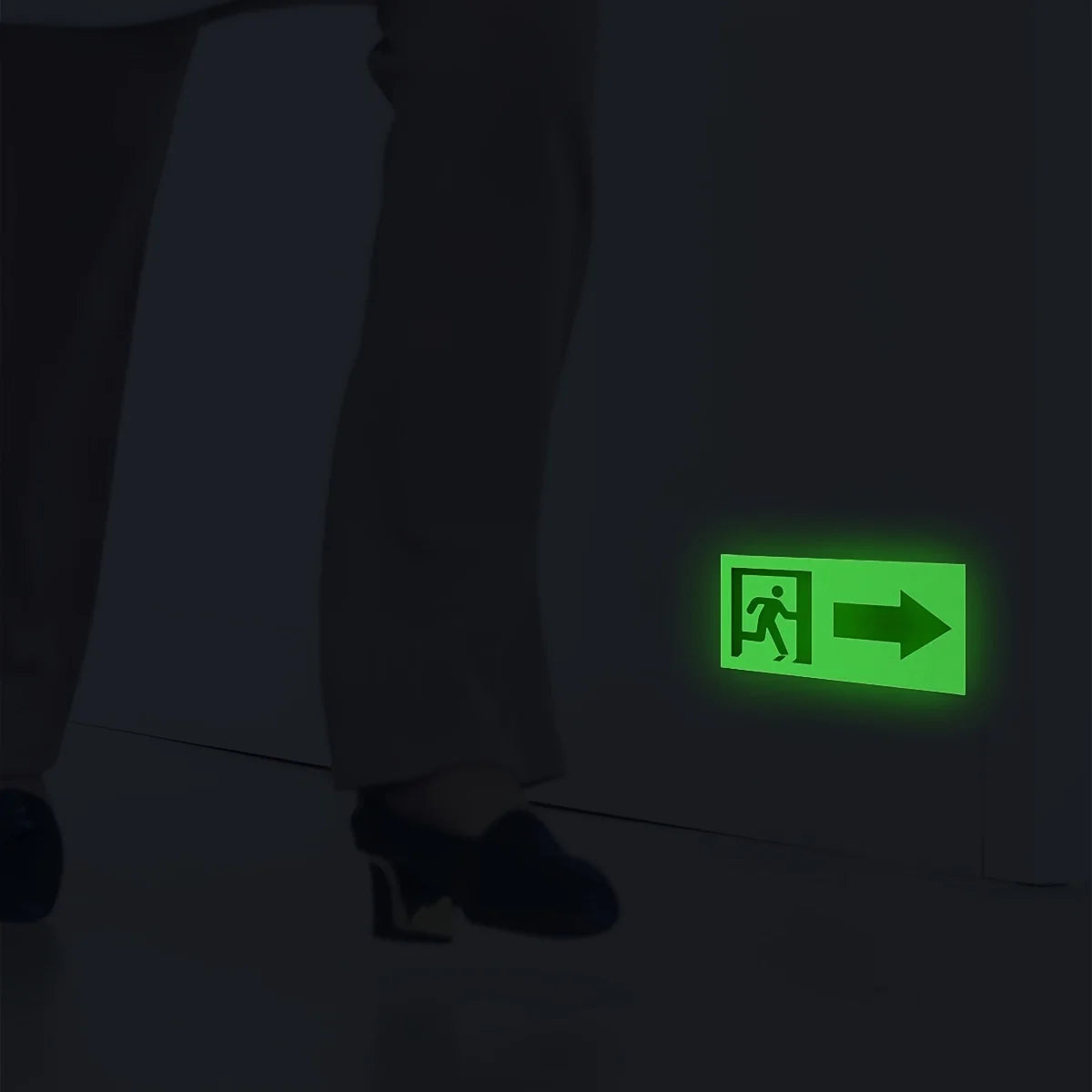 5 Right Exit Signs Luminous Fluorescent Escape Safety Emergency