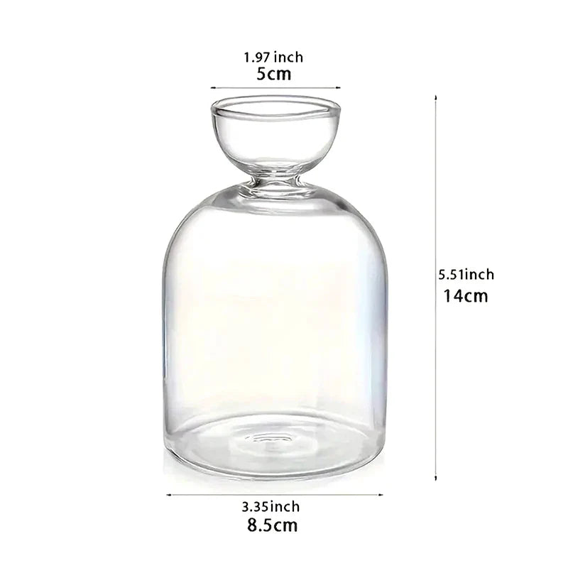 Avocado Seed Starter Glass Vase – Hydroponic Planter Kit