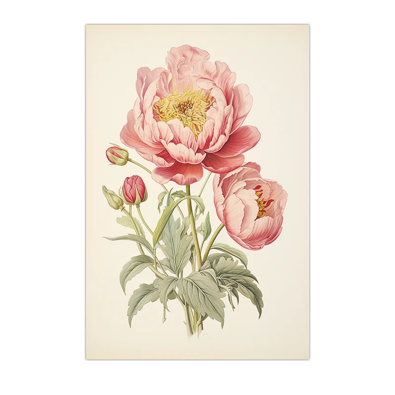 Vintage Botanical Peony Canvas Print | Pink Floral Wall Art Floral Canvas Print Peaceful Pleasures Health and Wellness 03 20x25cm No Frame China Mainland