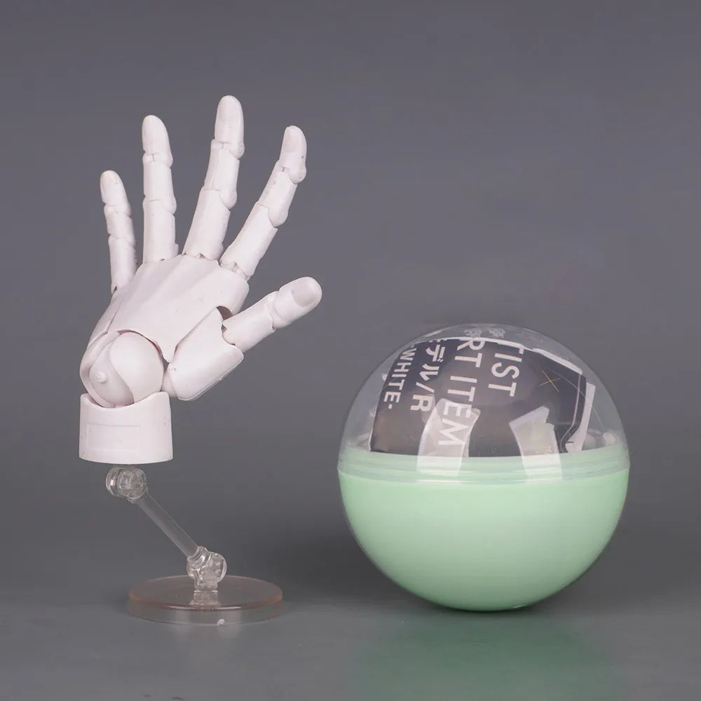 1:2 Scale Articulated Hand Model – Posable Fingers for Artists