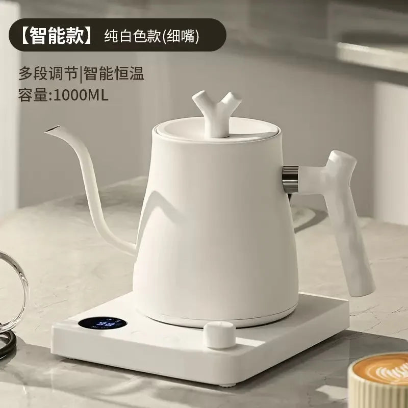 1000W Gooseneck Electric Kettle 1L | LED Temp Control, Stainless