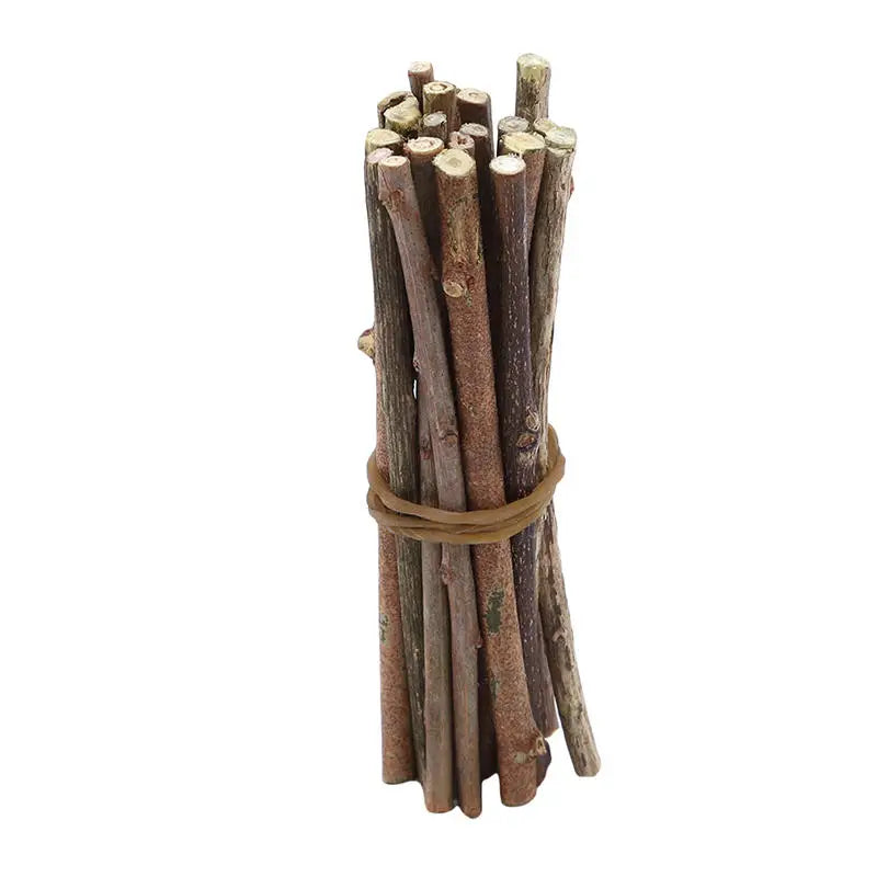 Miniature Wooden Sticks 20pcs for Fairy Garden & Plant Support DIY Natural Craft Supplies for Terrarium Small Birch Dowels Peaceful Pleasures Health and Wellness 5packs(100pcs)
