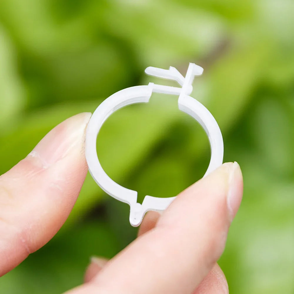Plant Clips Supports Reusable Plastic Connects Fixing Vine Tomato Stem Grafting Vegetable Plants Orchard and Garden Tools 100PCS Peaceful Pleasures Health and Wellness