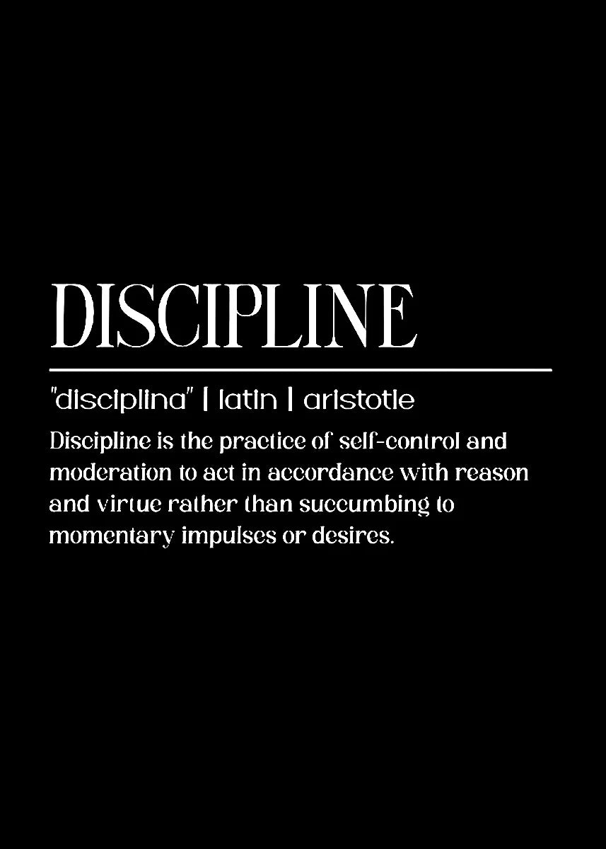 Motivational Discipline Quote Canvas Wall Art | Modern Decor
