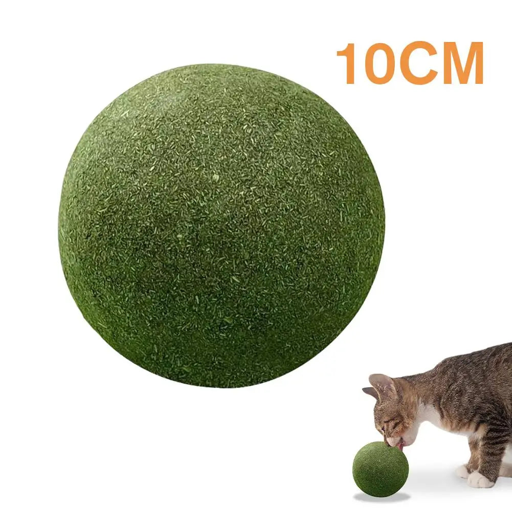 Natural Catnip Ball Toy – Teeth Grinding & Cat Enrichment