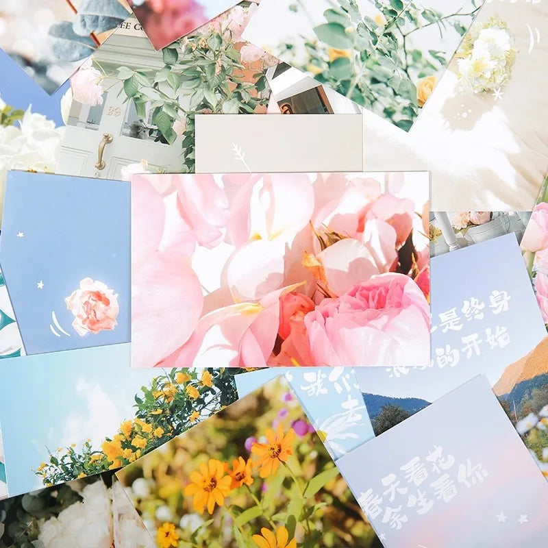 Preference Redemption Series Postcards Floral Scenes Greeting Cards
