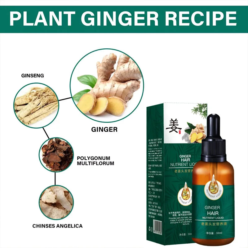 Ginger Hair Growth Oil Serum – Anti Hair Loss & Scalp Nourishing