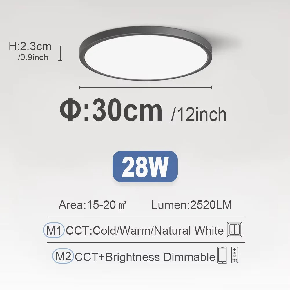 RUNTOIN Dimmable LED Flush Mount Ceiling Light | Ultrathin