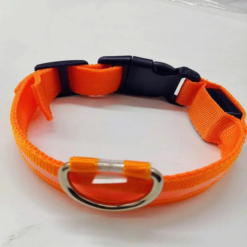 LED Light-Up Dog Collar – Glowing Safety Collar for Night Walks