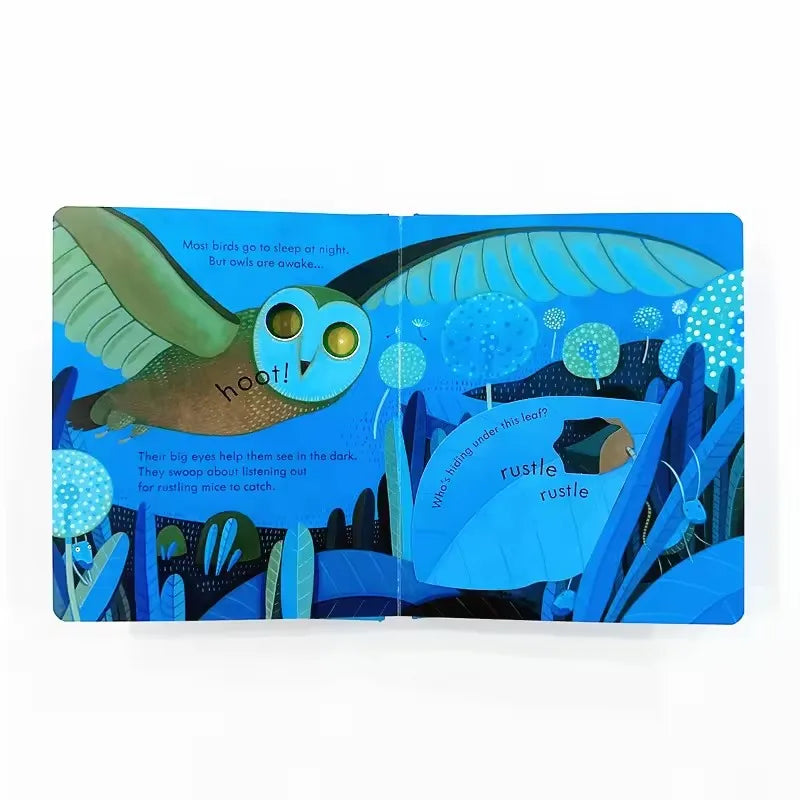 Usborne Peep Inside Night Time 3D Flap Educational English Picture