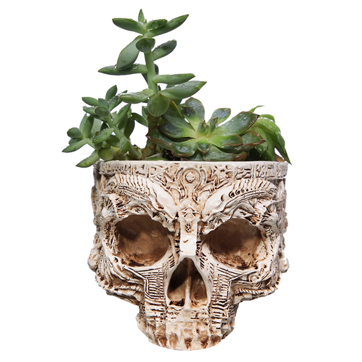 Halloween Skull Flower Pot Gothic Skeleton Planter Container Organizer Suitable for Home Garden Decor Peaceful Pleasures Health and Wellness
