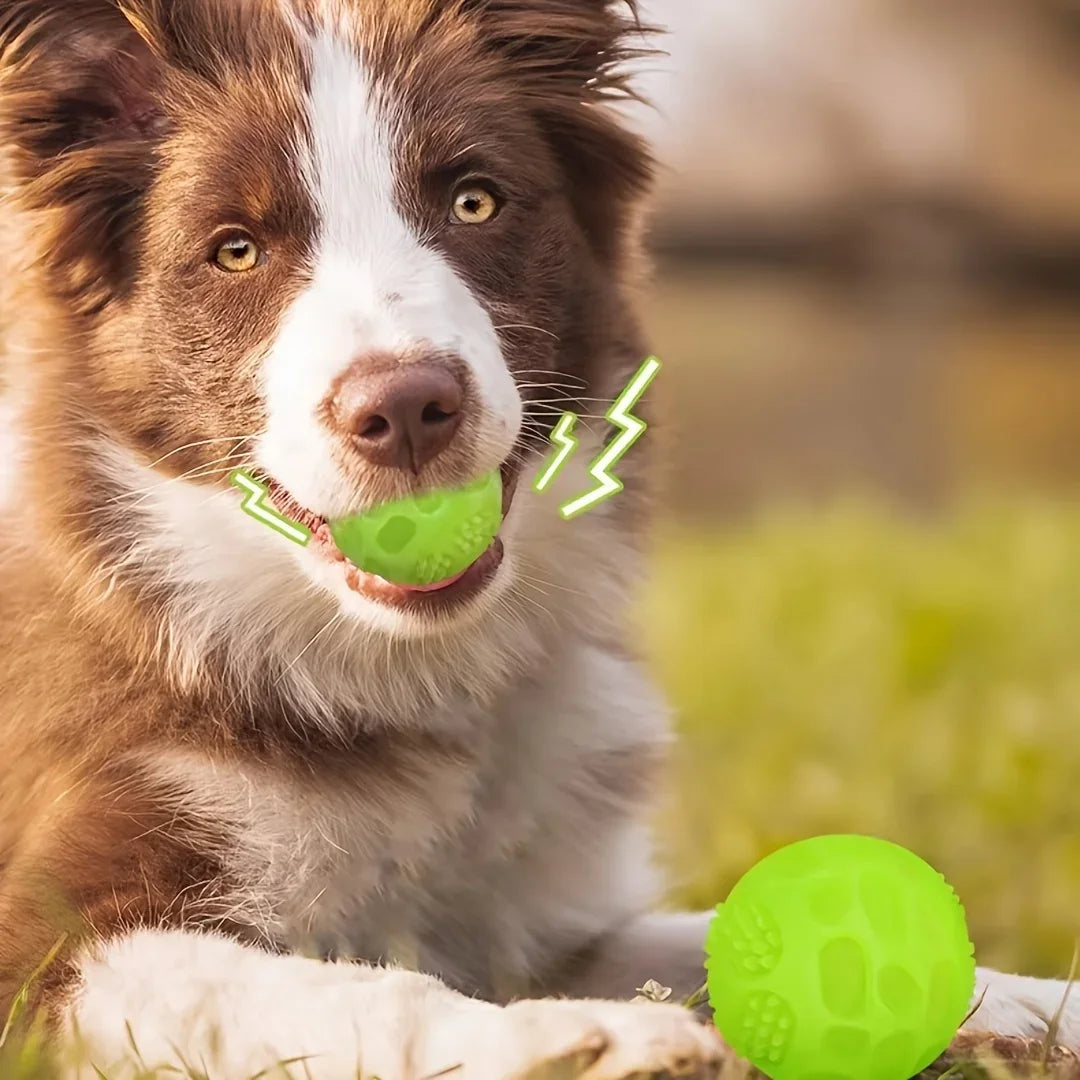 Glow in the Dark Dog Toy Ball – Squeaky TPR Chew & Teeth Cleaner