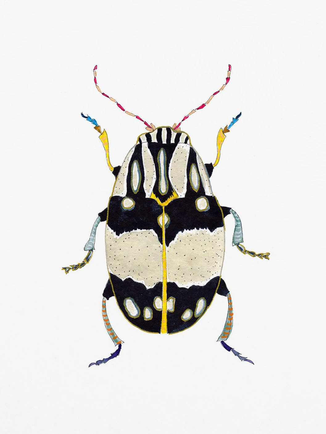 Watercolor Insect Canvas Print | Nursery & Kids Room Wall Art