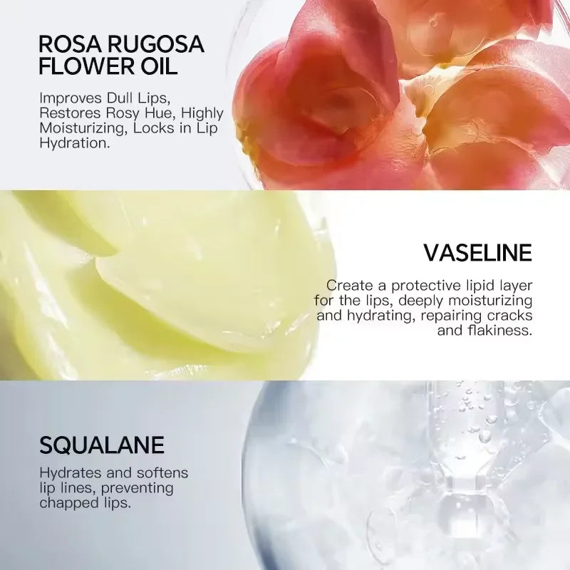 Eelhoe Lip Plumper Serum – Instant Volume & Moisture Gloss