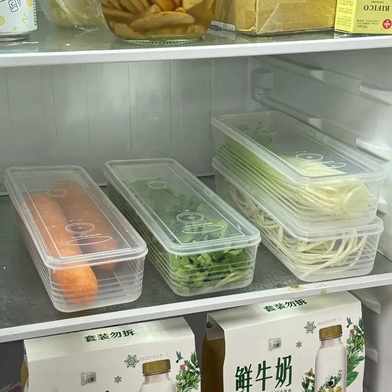 Fridge Herb & Scallion Storage Containers with Lids | 1–5 Pack