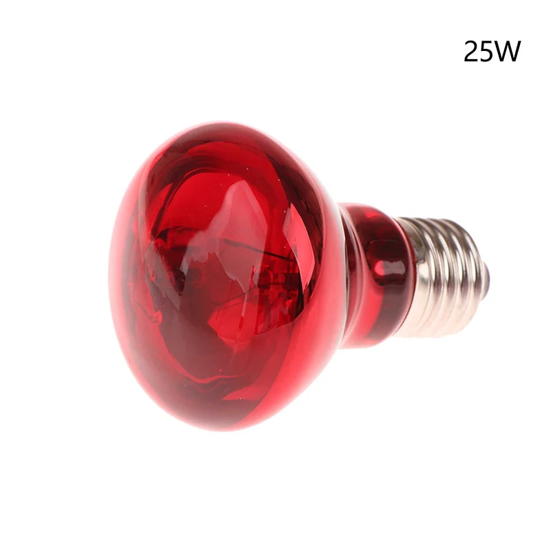Reptile UVA Heating Bulb E27 | 25W–100W Basking & Night Heat
