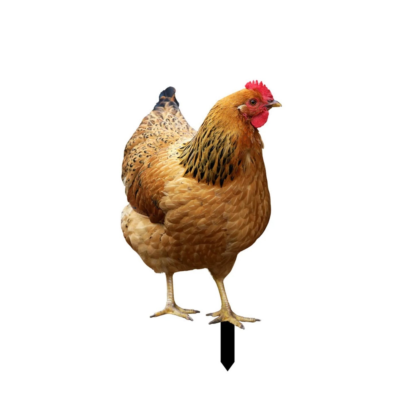 2D Flat Garden Statues Ornaments For Hen Chicken Decorations Sculptures Yard Art Outdoor Decorations Rooster Statue Art Deco Peaceful Pleasures Health and Wellness 1PC 1 One Size