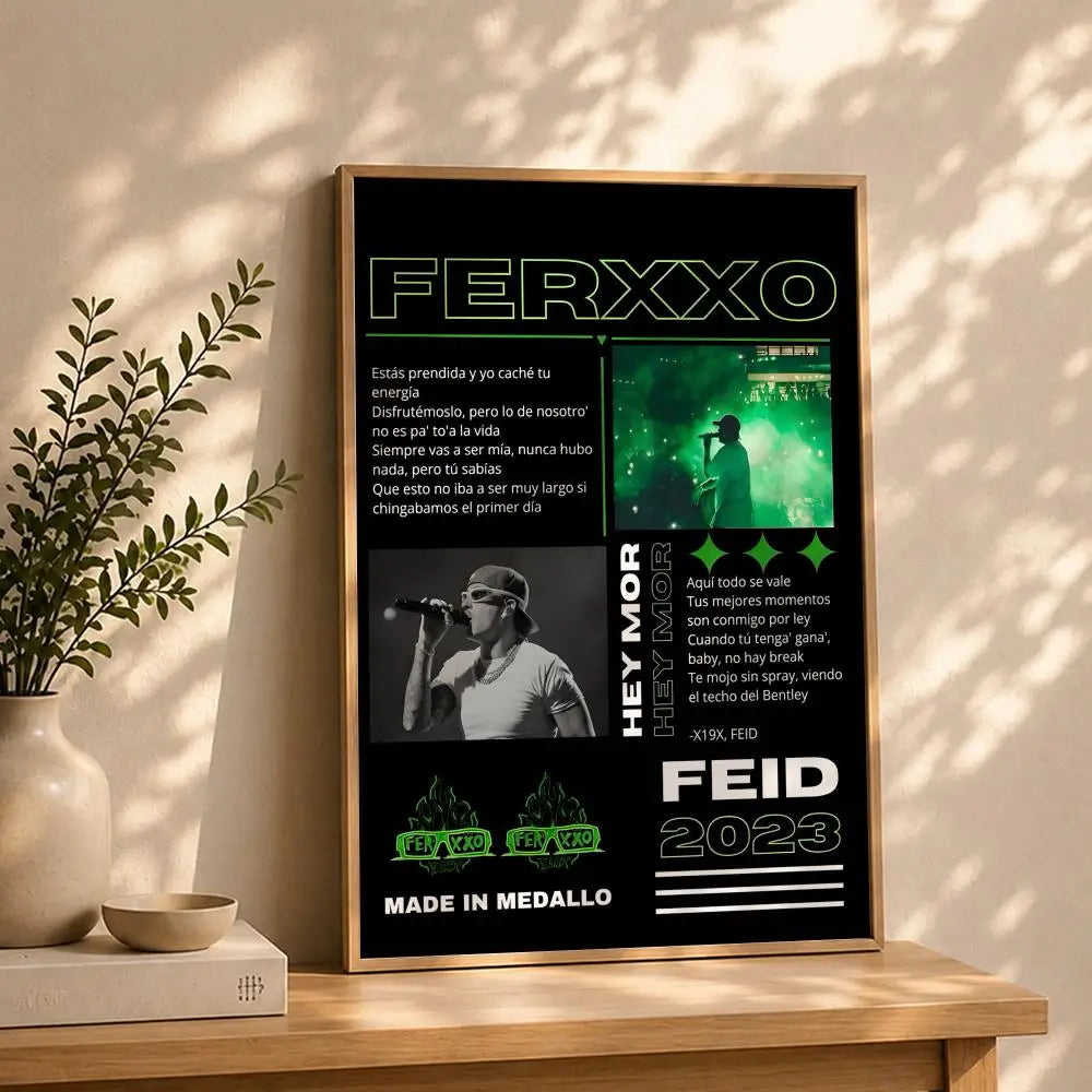 Feid Singer HD Poster – Self-Adhesive Waterproof Wall Art Music Wall Poster Peaceful Pleasures Health and Wellness White8 50X70cmNoframe