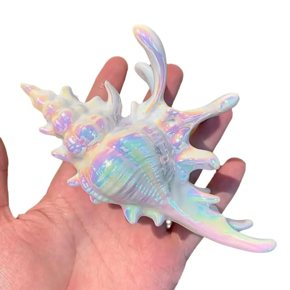 Acrylic Conch Hair Claw Clip | Large Seashell Clamp for Women