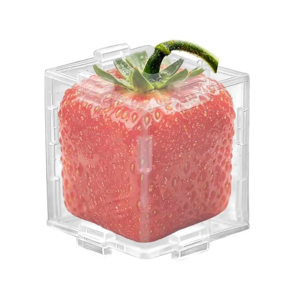 Vegetable Growth Shaping Molds – Cucumber, Pumpkin & Tomato