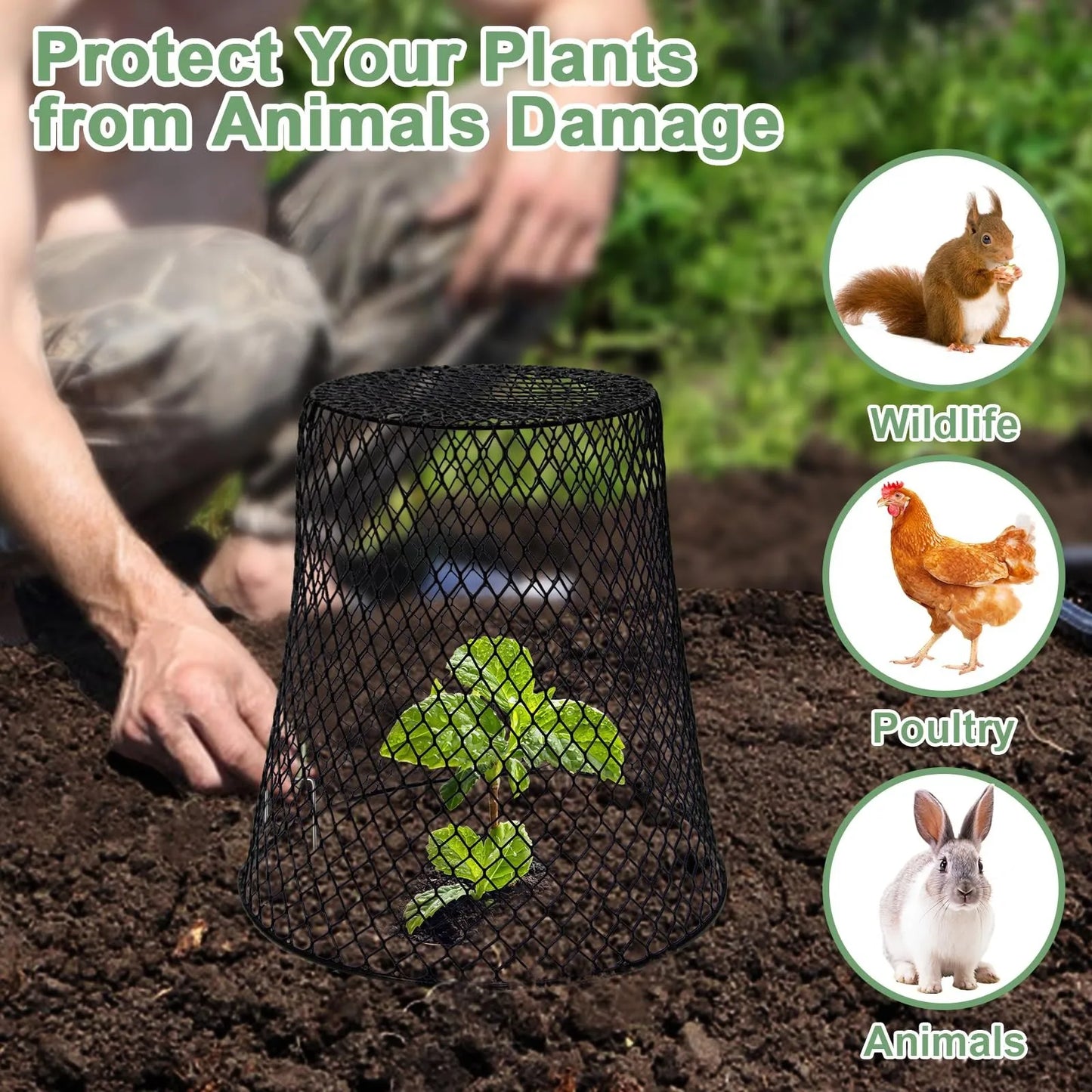 5/10pcs Wire Plant Protection Cover Garden Roof Seedlings Fruit And Vegetable Protection Cage Prevent Rabbits Chickens Squirrels Peaceful Pleasures Health and Wellness