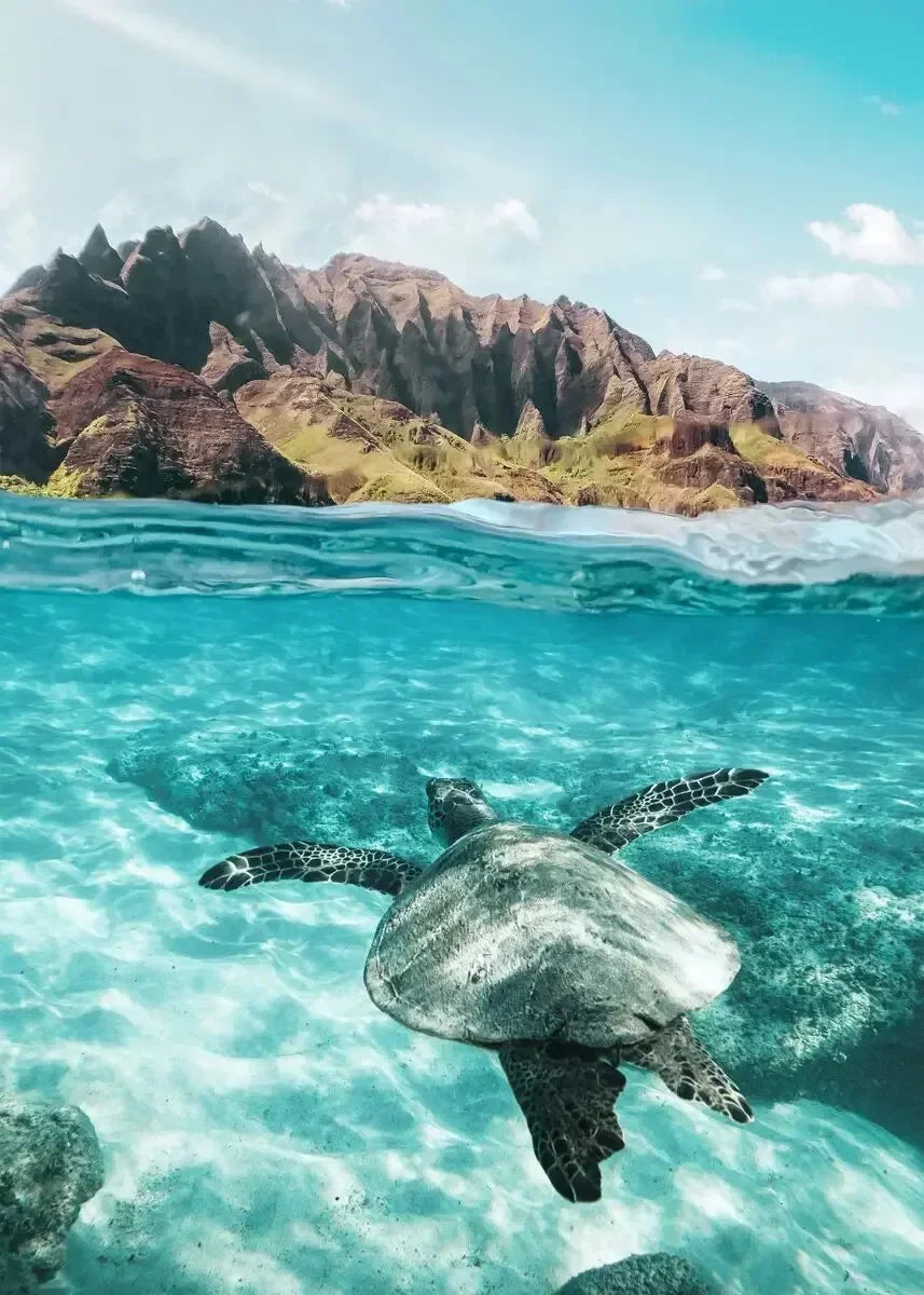 Tropical Summer Beach Sea Ocean Surfing Palm Tree Wall Art Posters Minimalist Canvas Painting for Living Room Modern Home Decor Peaceful Pleasures Health and Wellness