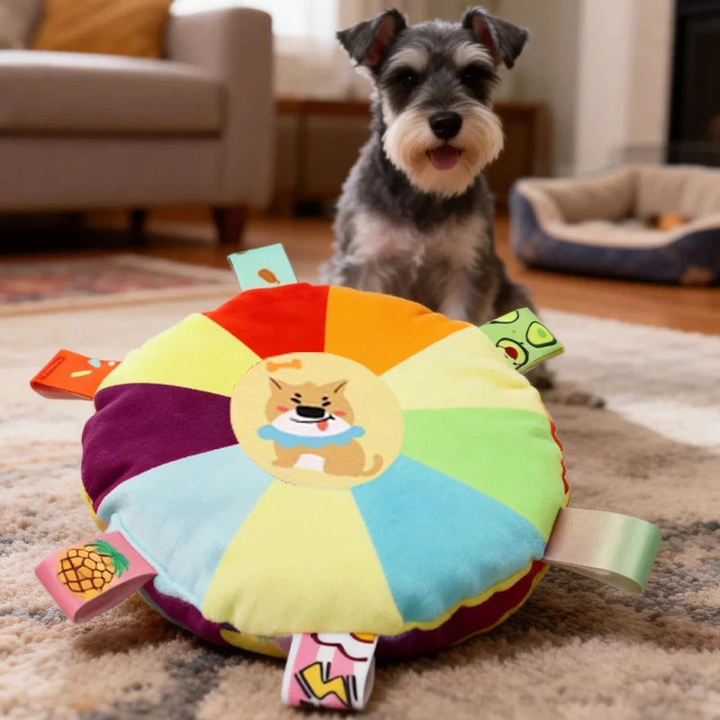 Plush Squeaky Flying Disc Dog Toy – Bite-Resistant for Puppies