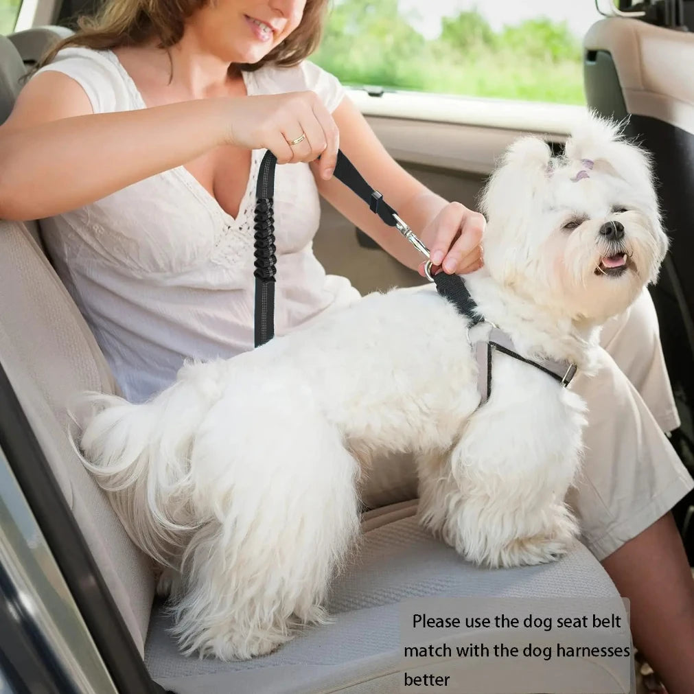 Adjustable Heavy-Duty Dog Car Seat Belt | Striped Nylon