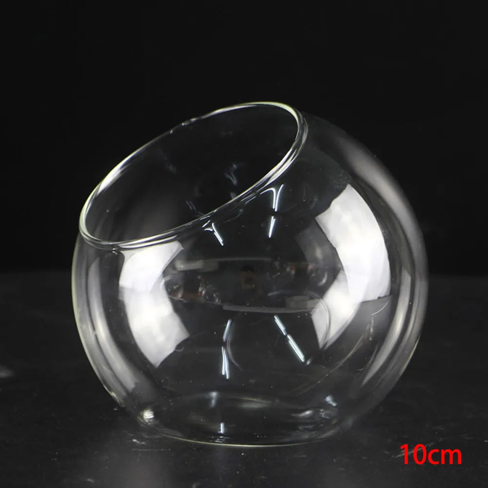 Terrarium Container Micro Landscapes Elegant Design Open Mouth Ideal