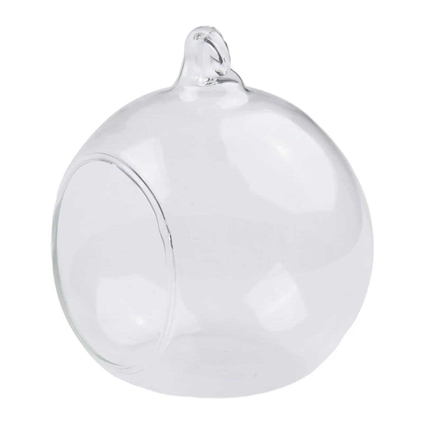 Clear Borosilicate Glass Bauble Balls 8 Vase Succulent Plant