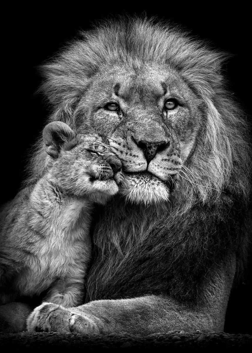 Black & White Safari Animals Canvas Wall Art for Kids Room