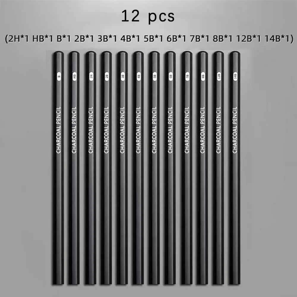 12 Sketching Pencil Students Beginner Charcoal Various Hardness Art