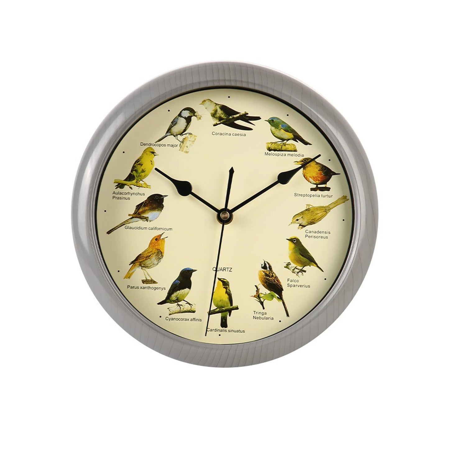 Wall Hanging Clock Decor Singing Bird Wall Clock Bird Clock With Sound Hanging Clock Decor for Kitchen Walls Shelf Decoration Peaceful Pleasures Health and Wellness C