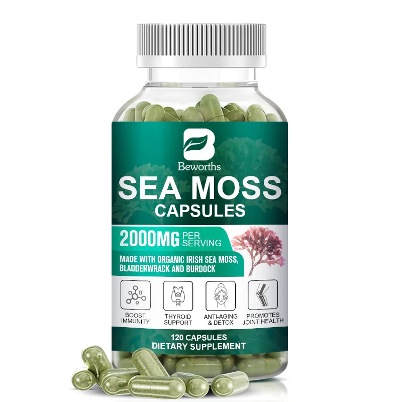 Organic Sea Moss Capsules – Immunity, Thyroid & Gut Health Herbal Supplement Peaceful Pleasures Health and Wellness 120PCS United States
