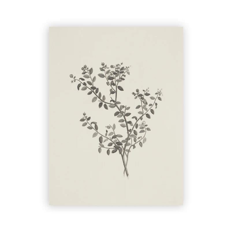 Farmhouse Botanical Canvas Wall Art – Vintage Rustic Tree Print Canvas Wall Art Peaceful Pleasures Health and Wellness T80284-08 20x30cm Unframed