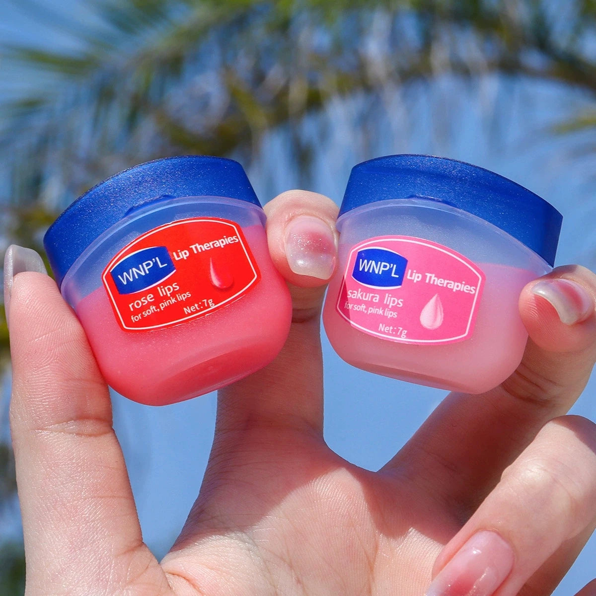 Natural Plant Lip Balm Set 6pcs – Moisturizing & Plumping