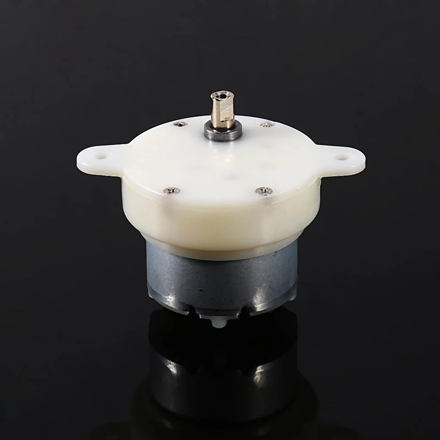 12v DC Motor High 12v DC Motor Slow Speed Electric Motor/ 3RPM 4mm Shaft Diameter Micro Motor Slow Down Mute Motor Peaceful Pleasures Health and Wellness