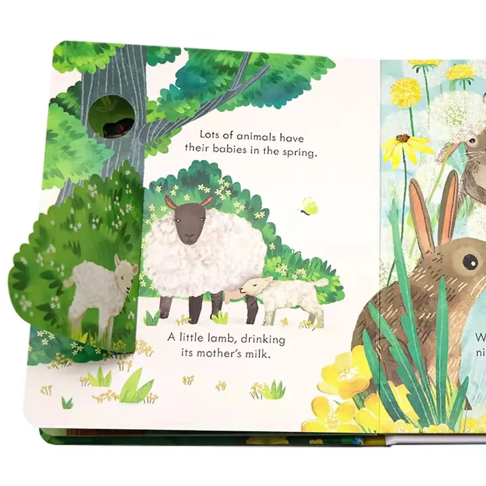 Usborne Peep Inside Springtime 3D Flap Picture Books Kids Bedtime