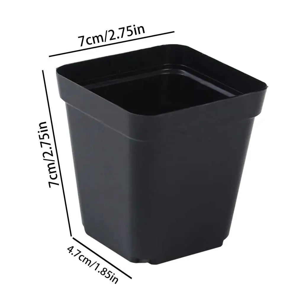 50-Pack Square Seedling Starter Pots with Drainage | Garden Kit