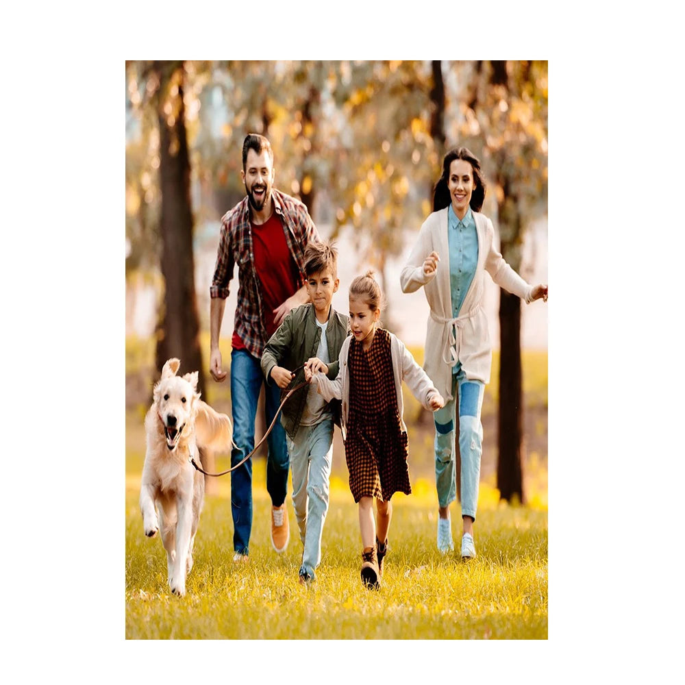 Dropshipping Custom Spray Printing on Canvas Painting Personalized Photo Print Posters Artwork Gift for Home Decoration Pictures Peaceful Pleasures Health and Wellness 90x270cm No Frame NP001 (Only Prints)
