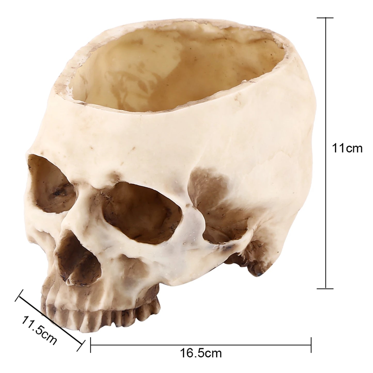 Resin Skull Flower Pot | Gothic Planter & Halloween Decor