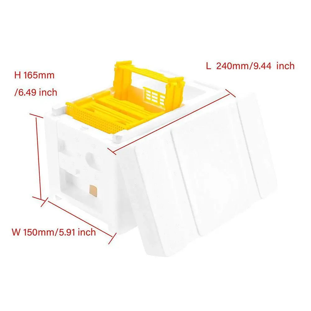 Foam Queen Rearing Mating Nuc Box – Beekeeping Hive Supplies
