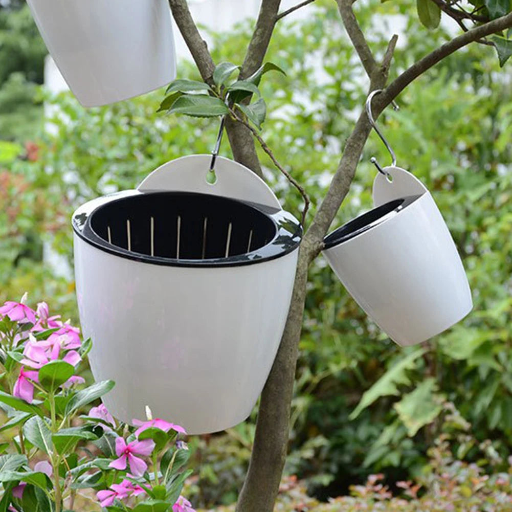 Wallmounted Flower Pot Innovative Design Green Dill Pattern Suitable