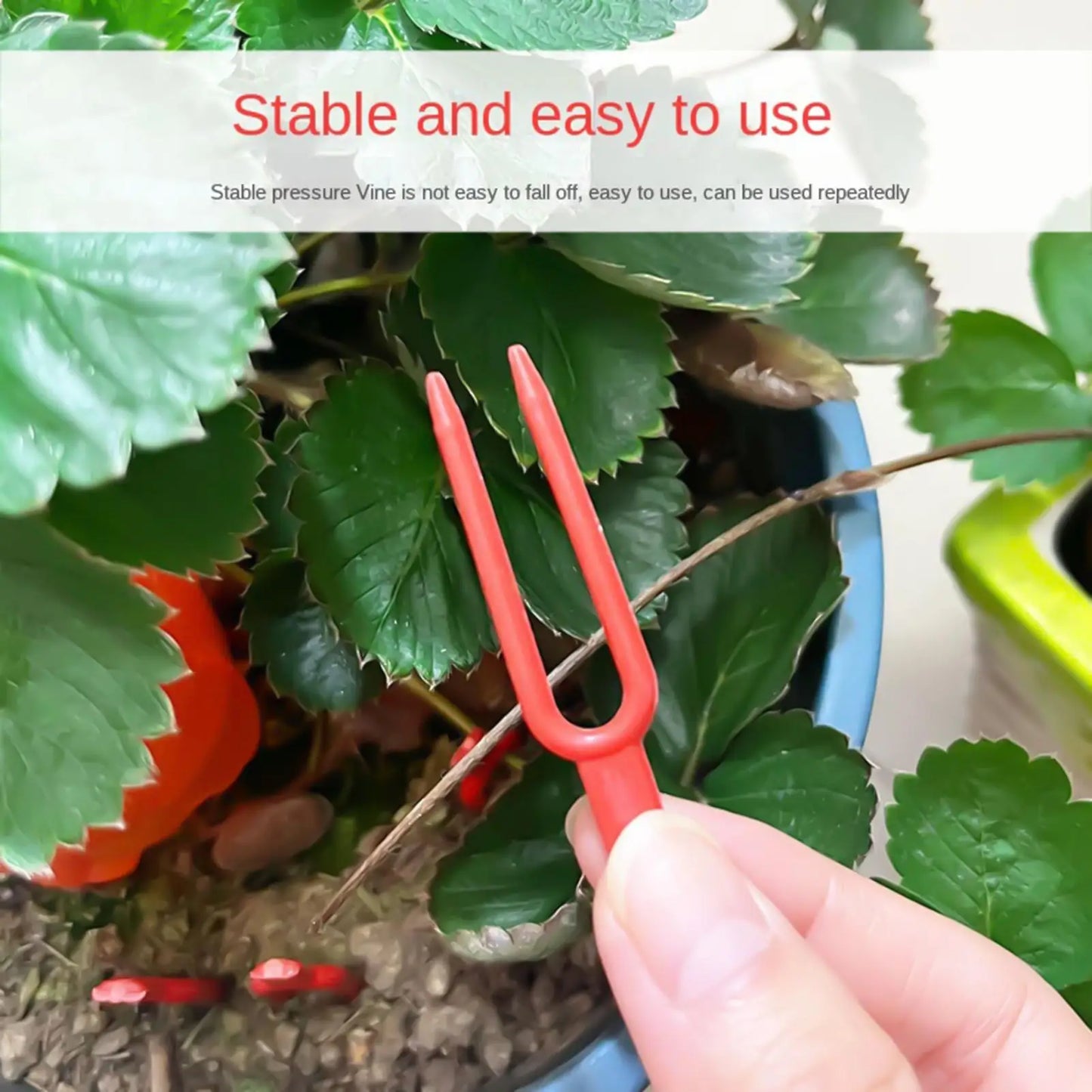 100-Pack Garden Plant Pins – Vine & Strawberry Stem Clips